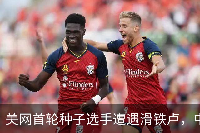 美网首轮种子选手遭遇滑铁卢，中国球员战绩喜忧参半